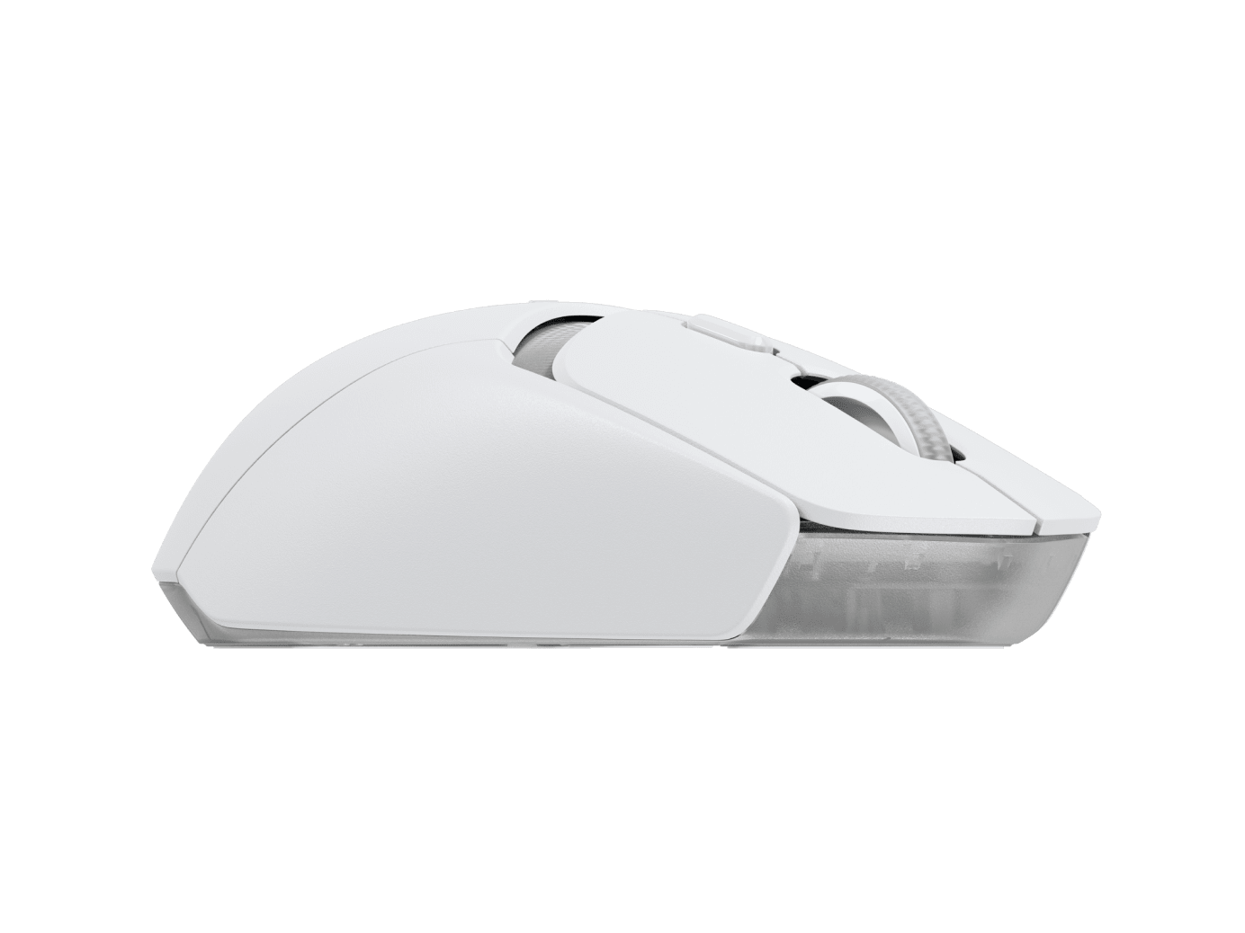 מתגי LIGHTFORCE