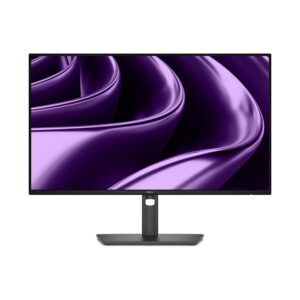Dell Pro P 24 P2426HE